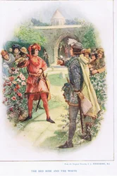 Die rote und die weiße Rose, Illustration aus 